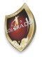 logo herb podświetlany klubu piłkarskiego