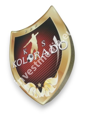 logo herb podświetlany klubu piłkarskiego