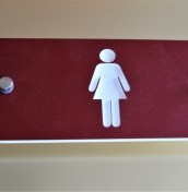 tabliczka toaleta damska