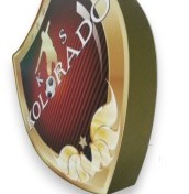 logo herb podświetlany klubu piłkarskiego