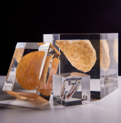 embedding objects in plexiglass, pouring any shape and size in plexiglass
